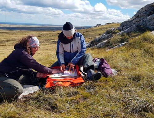Orígenes y evolución de la biota terrestre de las Islas Malvinas