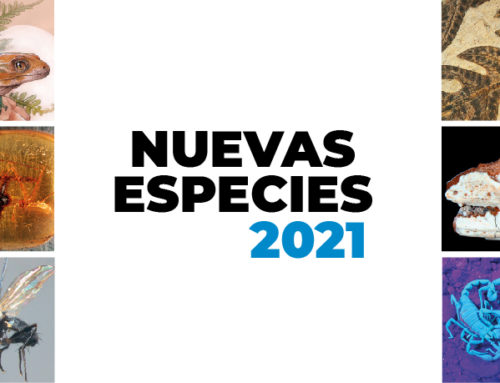 Nuevas Especies 2021
