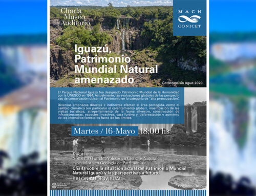 Iguazú, Patrimonio Mundial Natural amenazado