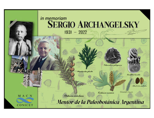 Homenaje al Dr. Sergio Archangelsky, Mentor de la Paleobotánica Argentina