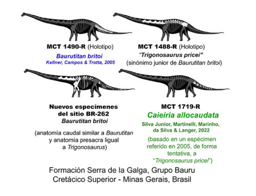 Titanosaurio Sudamericano
