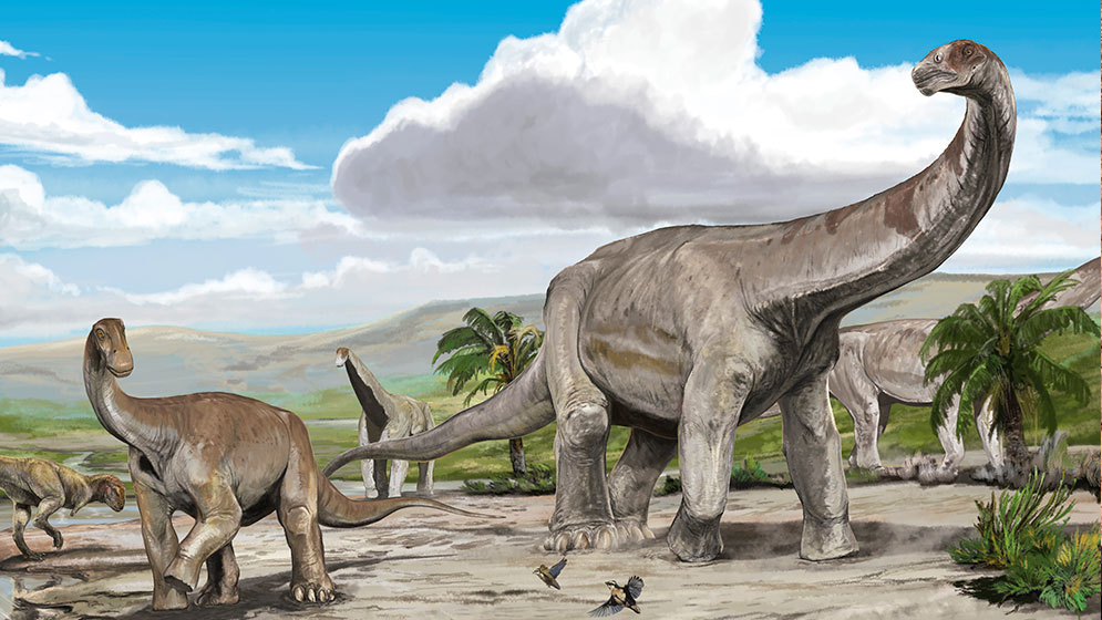 Descubren dos nuevas especies de dinosaurios herbívoros en La Rioja – Museo  Ciencias Naturales