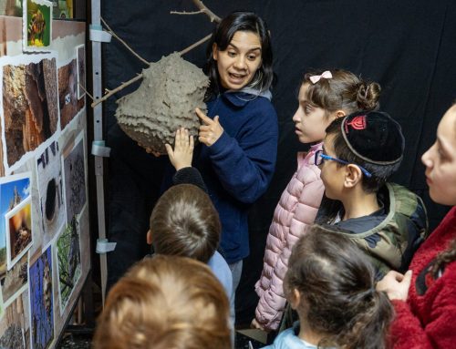 EXPLORADORES DE LA NATURALEZA: ASÍ SE VIVIERON LAS VACACIONES DE INVIERNO EN EL MUSEO