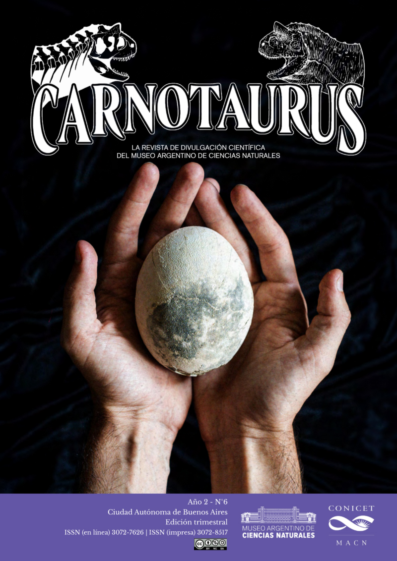 CARNOTAURUS