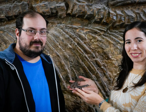 Descubren a un nuevo reptil predador terrestre del Triásico y lo nombran en honor al CONICET