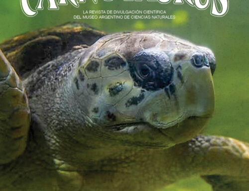 YA SE ENCUENTRA DISPONIBLE EL QUINTO NÚMERO DE CARNOTAURUS