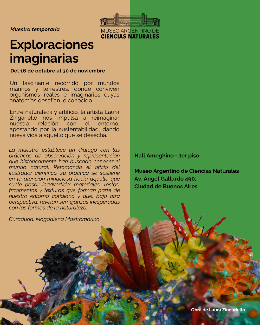 Exploraciones imaginarias