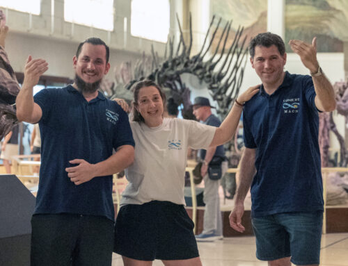 ENERO EN EL MACN: NUEVAS PROPUESTAS PARA TODA LA FAMILIA