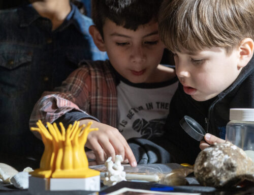 El MACN recibió miles de visitantes en La Noche de los Museos 2025