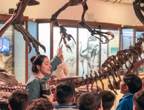 Visitas Escolares 2026