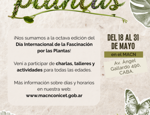 Día Internacional de la Fascinación por las Plantas en el Museo