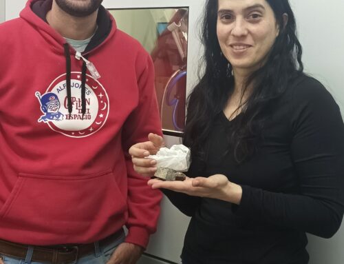 La revisión de un pez fósil reconfigura el conocimiento sobre especies actuales