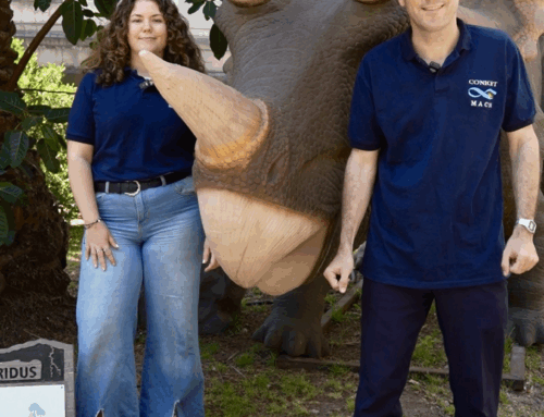 DICIEMBRE EN EL MACN: NUEVAS PROPUESTAS PARA TODA LA FAMILIA