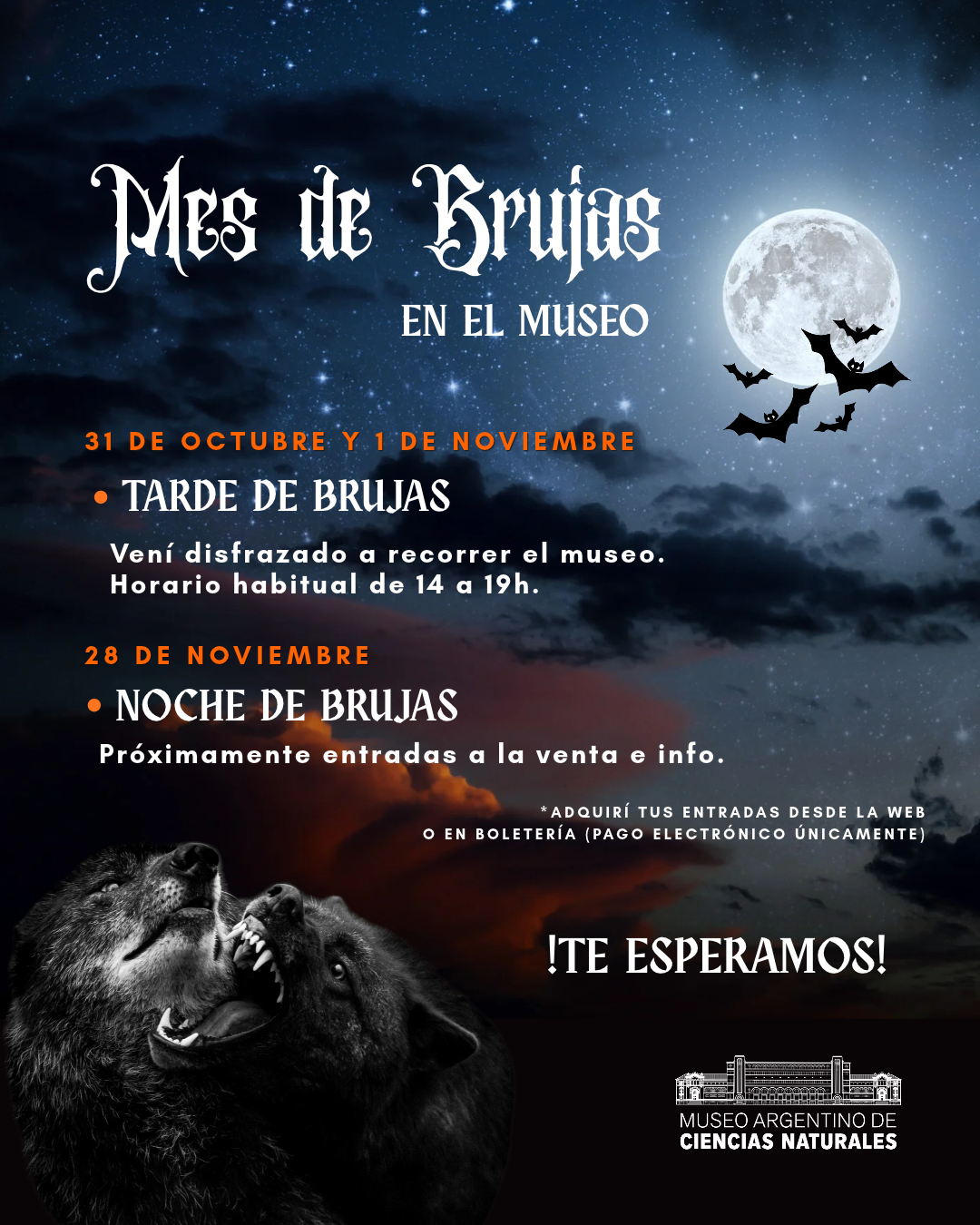 Mes de Brujas en el Museo