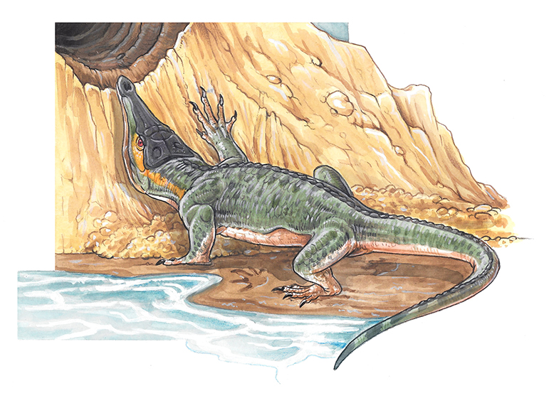 Uno de los reptiles fósiles más enigmáticos