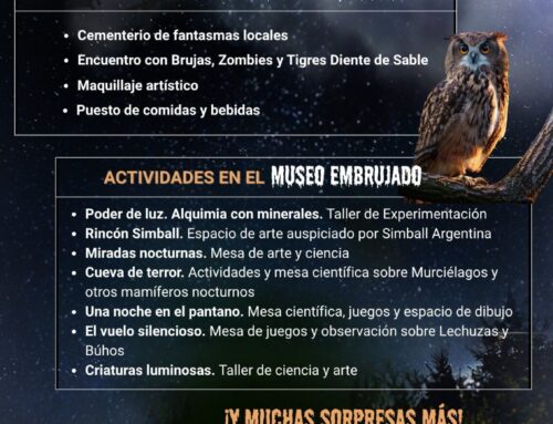 Qué actividades brindará el Museo en la Noche de Brujas 2025