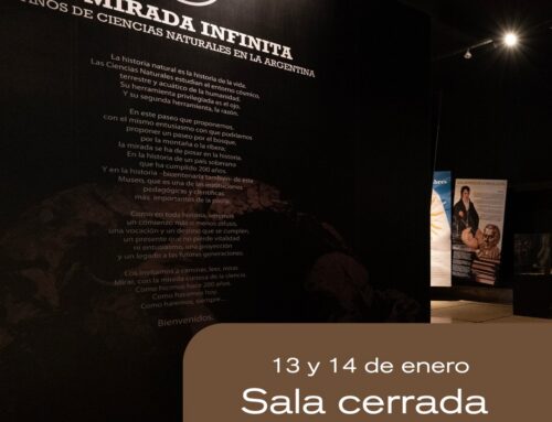 “La mirada infinita” cerrada por refacciones