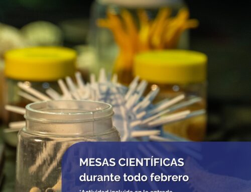 MESAS CIENTÍFICAS DE VERANO