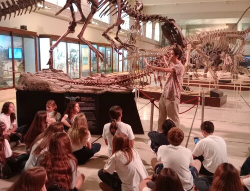 Visitas Escolares 2026