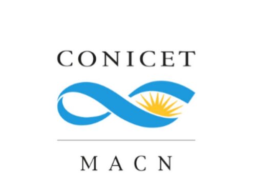 CONTRATACIÓN DEL SERVICIO MANTENIMIENTO Y MEJORAS DE ASCENSORES