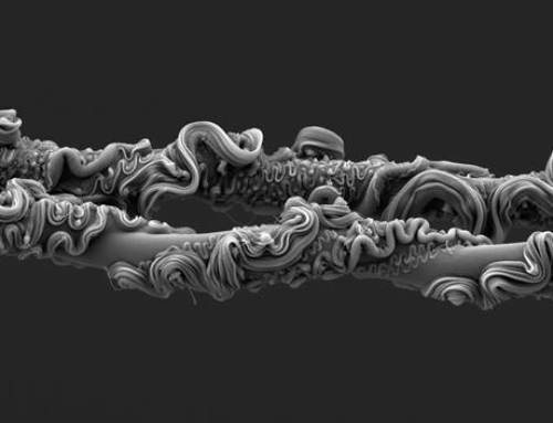 Un investigador del Museo Argentino de Ciencias Naturales ganó el Concurso de Fotografía de la Royal Society 2025